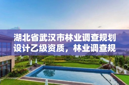 湖北省武汉市林业调查规划设计乙级资质,林业调查规划设计乙级资质公司