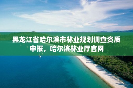 黑龙江省哈尔滨市林业规划调查资质申报，哈尔滨林业厅官网