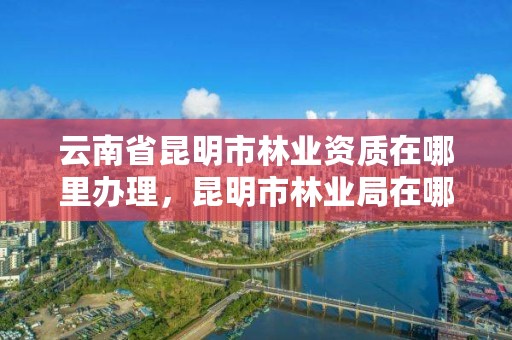 云南省昆明市林业资质在哪里办理,昆明市林业局在哪里
