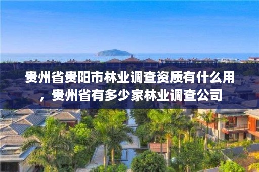 贵州省贵阳市林业调查资质有什么用，贵州省有多少家林业调查公司