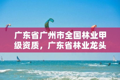 广东省广州市全国林业甲级资质，广东省林业龙头企业名单