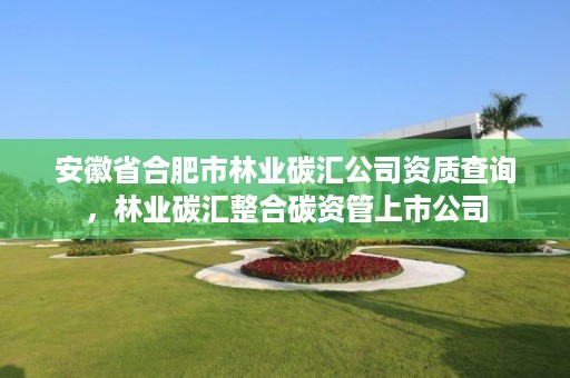 安徽省合肥市林业碳汇公司资质查询,林业碳汇整合碳资管上市公司