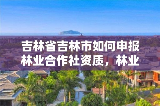 吉林省吉林市如何申报林业合作社资质,林业合作社法人的条件