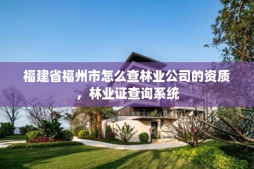福建省福州市怎么查林业公司的资质,林业证查询系统