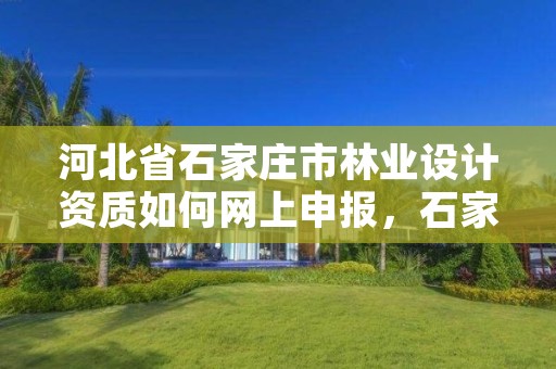 河北省石家庄市林业设计资质如何网上申报,石家庄林业局招标公告