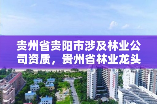 贵州省贵阳市涉及林业公司资质,贵州省林业龙头企业