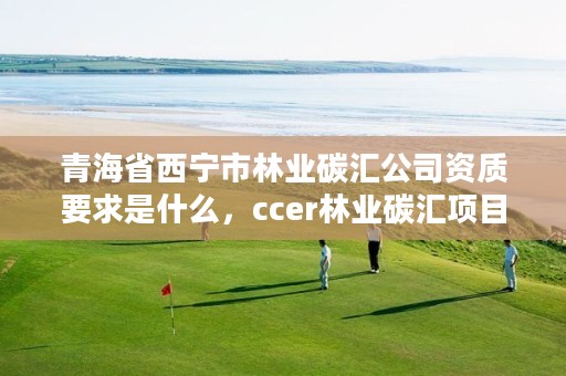 青海省西宁市林业碳汇公司资质要求是什么,ccer林业碳汇项目类型