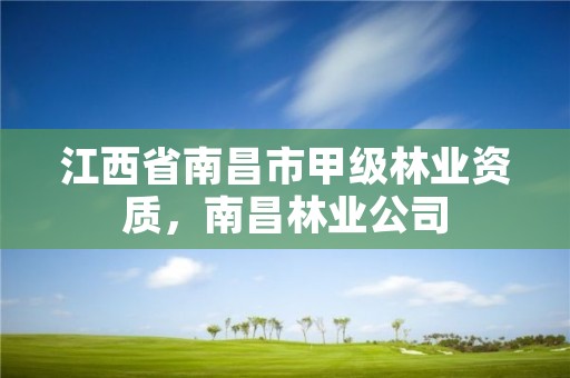 江西省南昌市甲级林业资质,南昌林业公司