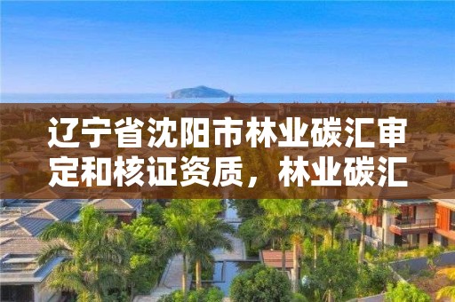 辽宁省沈阳市林业碳汇审定和核证资质，林业碳汇项目是怎样设骗局的