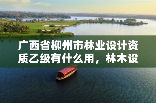 广西省柳州市林业设计资质乙级有什么用,林木设计资质证
