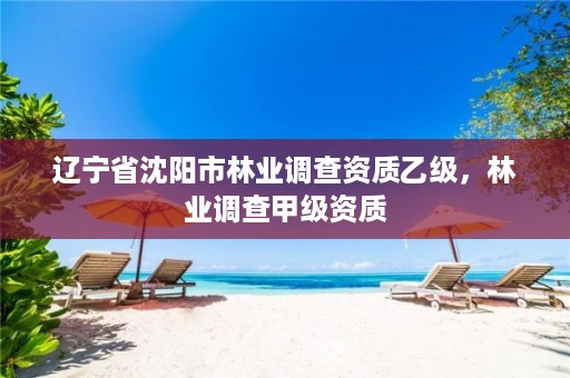 辽宁省沈阳市林业调查资质乙级，林业调查甲级资质