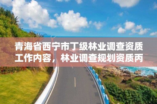 青海省西宁市丁级林业调查资质工作内容,林业调查规划资质丙级和乙级的区别