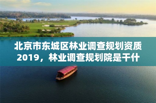 北京市东城区林业调查规划资质2019,林业调查规划院是干什么的