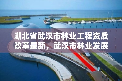 湖北省武汉市林业工程资质改革最新,武汉市林业发展有限责任公司