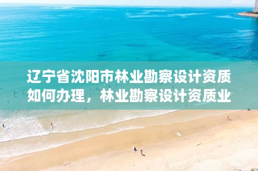 辽宁省沈阳市林业勘察设计资质如何办理，林业勘察设计资质业务范围