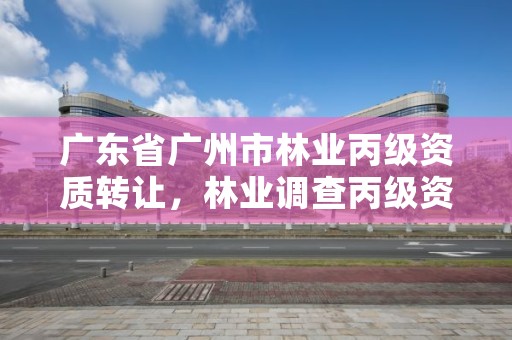 广东省广州市林业丙级资质转让,林业调查丙级资质转让