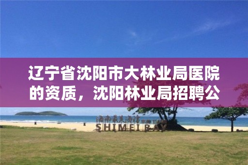 辽宁省沈阳市大林业局医院的资质，沈阳林业局招聘公告