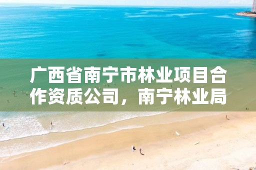 广西省南宁市林业项目合作资质公司,南宁林业局