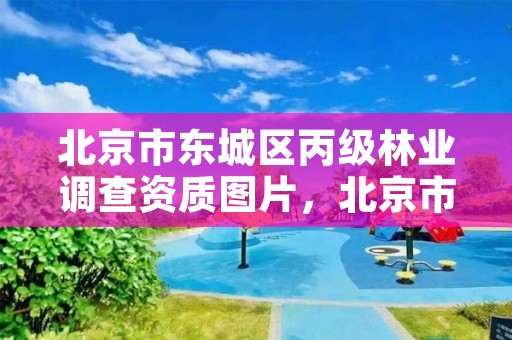 北京市东城区丙级林业调查资质图片,北京市东城区丙级林业调查资质图片及名单