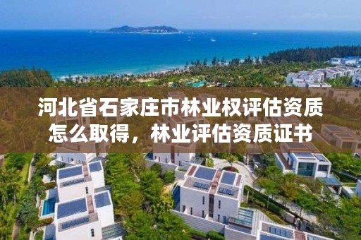 河北省石家庄市林业权评估资质怎么取得,林业评估资质证书