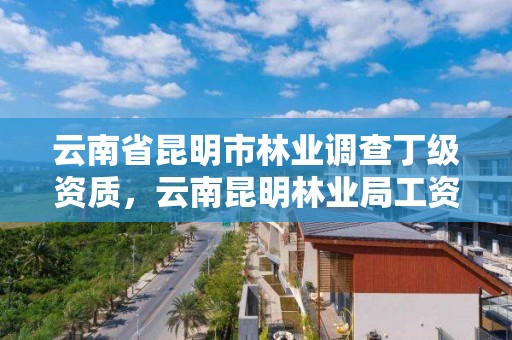 云南省昆明市林业调查丁级资质，云南昆明林业局工资待遇
