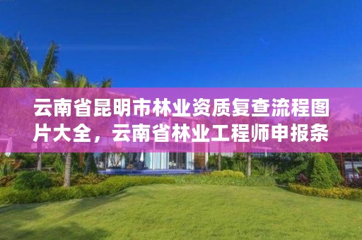 云南省昆明市林业资质复查流程图片大全，云南省林业工程师申报条件
