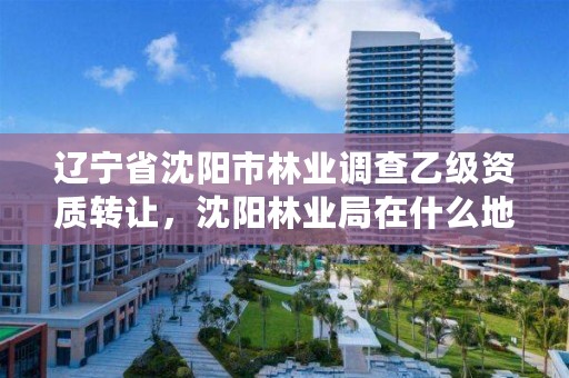 辽宁省沈阳市林业调查乙级资质转让，沈阳林业局在什么地方