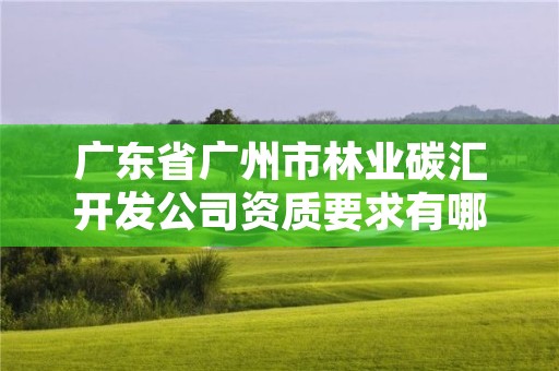 广东省广州市林业碳汇开发公司资质要求有哪些，林业碳汇整合碳资管上市公司