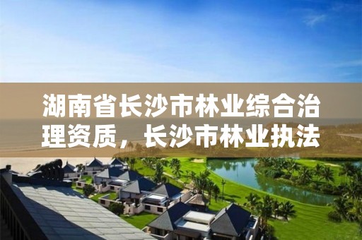 湖南省长沙市林业综合治理资质，长沙市林业执法支队
