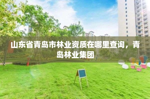 山东省青岛市林业资质在哪里查询,青岛林业集团
