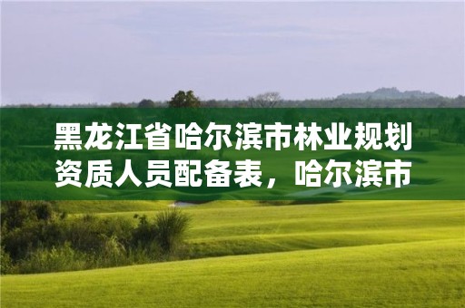 黑龙江省哈尔滨市林业规划资质人员配备表,哈尔滨市林业设计院