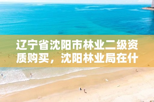 辽宁省沈阳市林业二级资质购买，沈阳林业局在什么地方