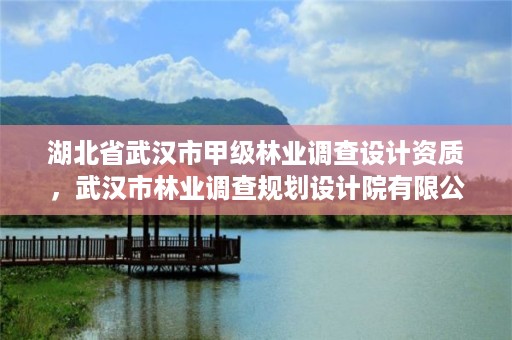 湖北省武汉市甲级林业调查设计资质,武汉市林业调查规划设计院有限公司