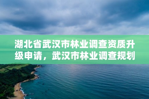 湖北省武汉市林业调查资质升级申请,武汉市林业调查规划设计院怎么样