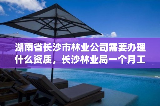 湖南省长沙市林业公司需要办理什么资质，长沙林业局一个月工资多少