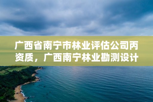 广西省南宁市林业评估公司丙资质,广西南宁林业勘测设计院