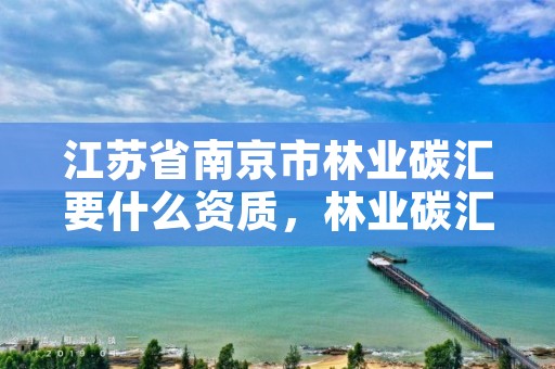 江苏省南京市林业碳汇要什么资质,林业碳汇技术
