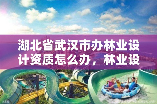 湖北省武汉市办林业设计资质怎么办,林业设计公司资质怎么办