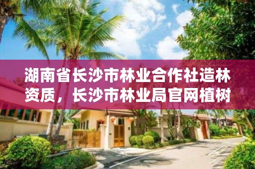 湖南省长沙市林业合作社造林资质,长沙市林业局官网植树基地