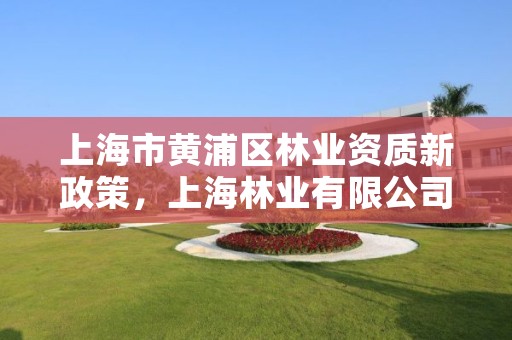 上海市黄浦区林业资质新政策,上海林业有限公司