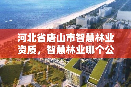 河北省唐山市智慧林业资质,智慧林业哪个公司做得好