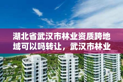 湖北省武汉市林业资质跨地域可以吗转让,武汉市林业调查规划设计有限公司