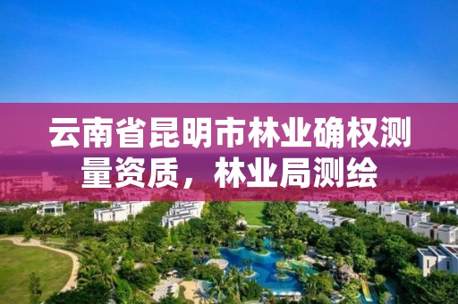 云南省昆明市林业确权测量资质,林业局测绘