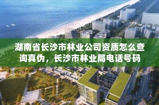 湖南省长沙市林业公司资质怎么查询真伪,长沙市林业局电话号码