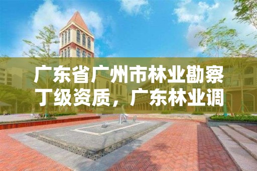 广东省广州市林业勘察丁级资质，广东林业调查规划设计资质