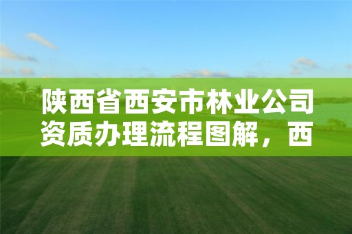 陕西省西安市林业公司资质办理流程图解,西安林业局在哪里