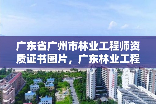 广东省广州市林业工程师资质证书图片,广东林业工程师招聘信息