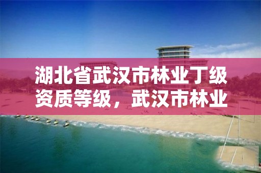 湖北省武汉市林业丁级资质等级,武汉市林业集团有限公司