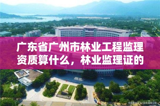 广东省广州市林业工程监理资质算什么,林业监理证的报名条件