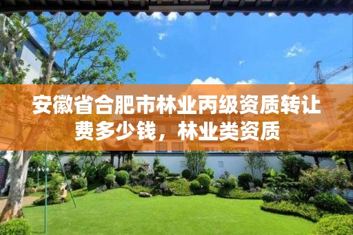 安徽省合肥市林业丙级资质转让费多少钱,林业类资质